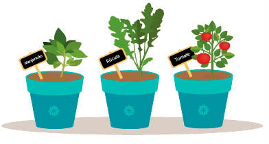 Em nossos tags você pode encontrar sementes de Manjericão, Rúcula, e tomate. Aproveite para fazer uma pequena horta em sua casa. Dica: utilize placas com os nomes em cada jarro, para facilitar a identificação.